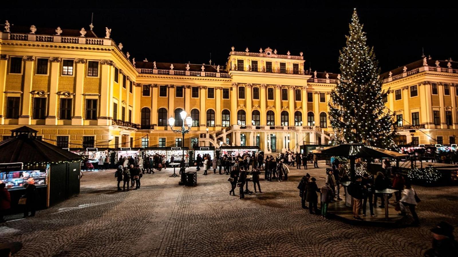 Family&Friends Apartments Schoenbrunn Viena Exterior foto